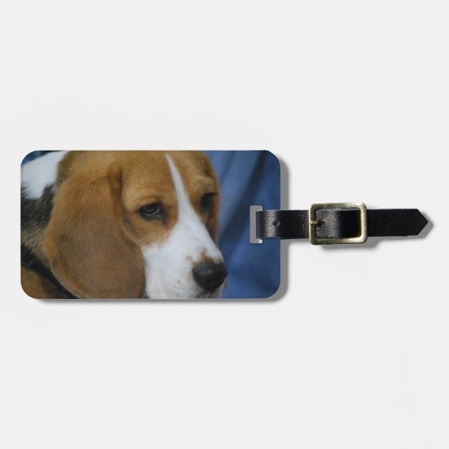 Étiquette À Bagage beagle-31.jpg (Devant horizontal)