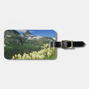 Étiquette À Bagage Beargrass près du col Logan National Gacier