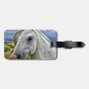 Étiquette À Bagage Beau Cheval