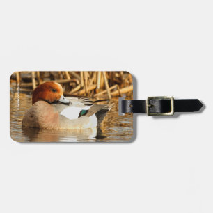 Étiquette À Bagage Beau étranger en ville Eurasian Wigeon