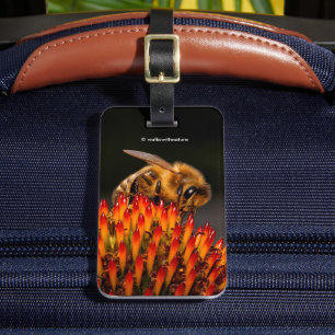 Étiquette À Bagage Belle abeille de miel pollinisant un confleur