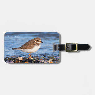 Étiquette À Bagage Belle balançoire semi-palmée à la plage