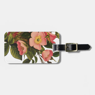Étiquette À Bagage Belle Botanique rose Rose vintage