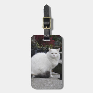 Étiquette À Bagage Belle Chat Blanc Sur Une Grave