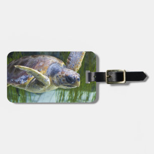 Étiquette À Bagage Belle natation de tortue marine