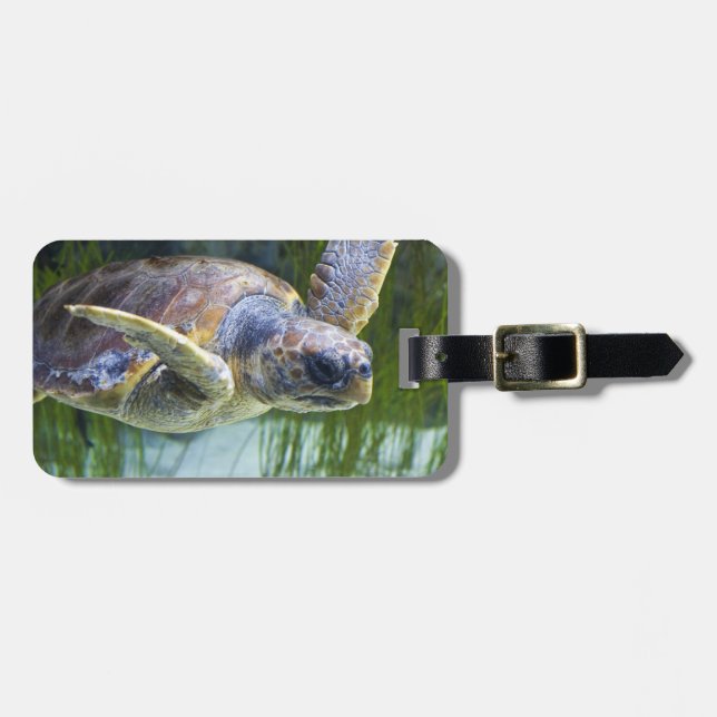 Étiquette À Bagage Belle natation de tortue marine (Devant horizontal)