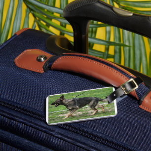 Étiquette À Bagage berger allemand sable marche
