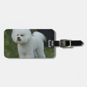 Étiquette À Bagage Bichon adorable