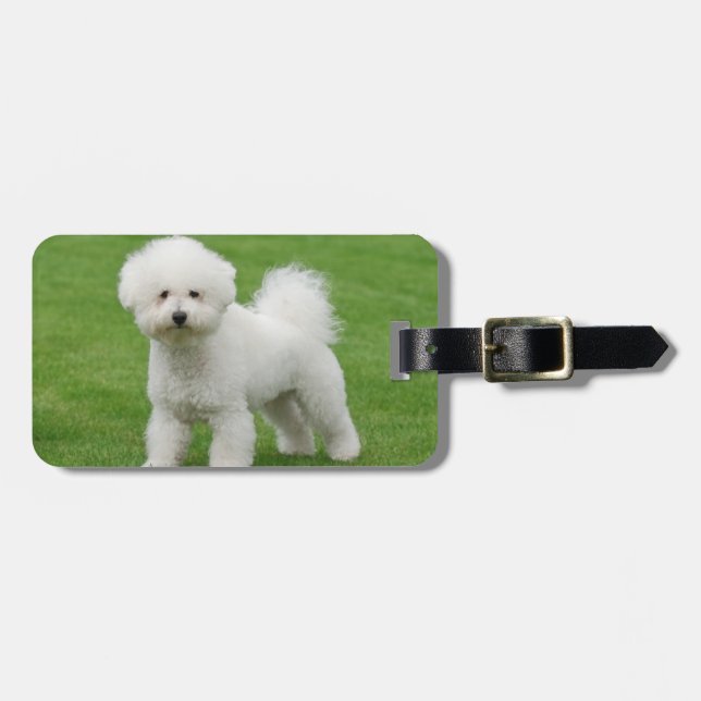 Étiquette À Bagage Bichon Frise (Devant horizontal)