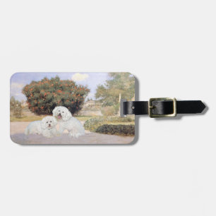 Étiquette À Bagage Bichon frisé