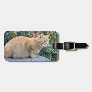 Étiquette À Bagage Big Red Tabby