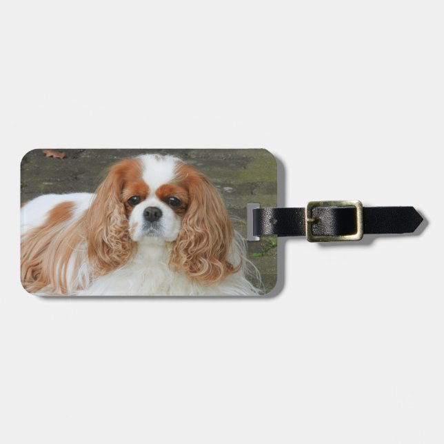 Étiquette À Bagage Blenheim Cavalier King Charles Puppy Chien (Devant horizontal)