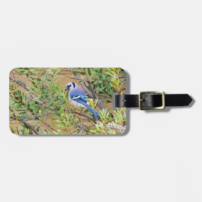 Étiquette À Bagage Blue Jay sur Southern Wax Myrtle (Devant horizontal)