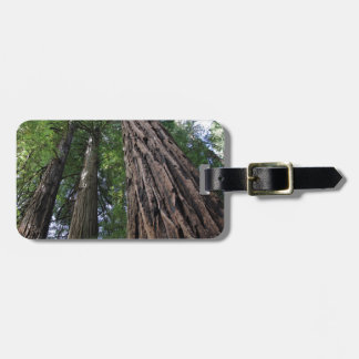 Étiquette À Bagage Bois de Muir