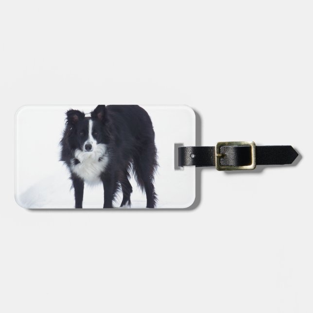 Étiquette À Bagage Border collie (Devant horizontal)