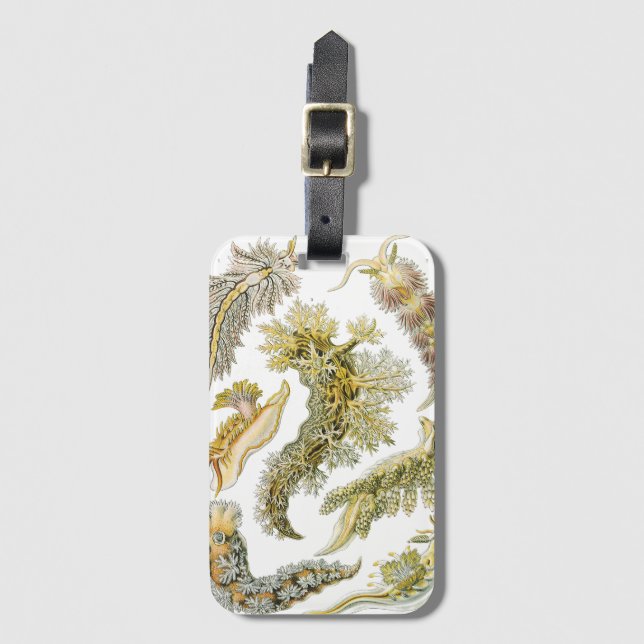 Étiquette À Bagage Boues de mer par Ernst Haeckel, Nudibranchia Vinta (Devant Vertical)