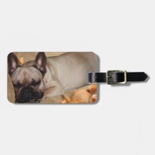 Étiquette À Bagage Bouledogue français loisirs Bouledogue français