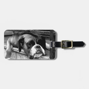 Étiquette À Bagage Boxer Chien sur Windowsill cd ltcnm