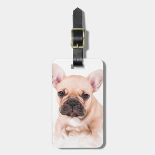 Étiquette À Bagage Bulldog français