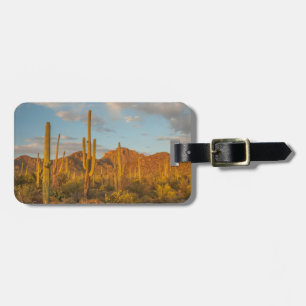 Étiquette À Bagage Cactus du Saguaro au coucher du soleil, Arizona