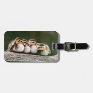 Étiquette À Bagage Canards de bébé