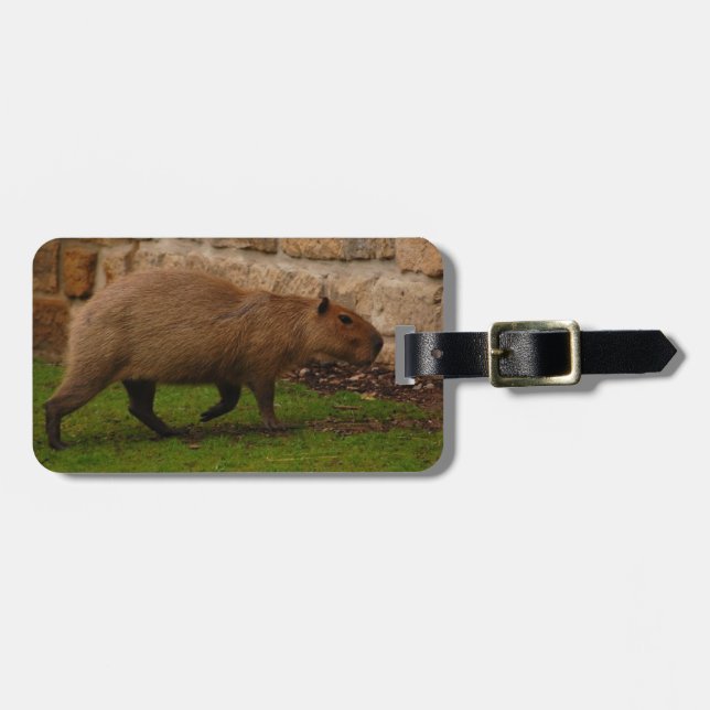 Étiquette À Bagage capybara (Devant horizontal)