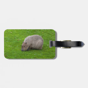 Étiquette À Bagage Capybara Extraordinaire