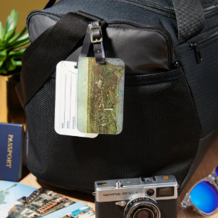 Étiquette À Bagage Carte antique avec une vue panoramique de Washingt