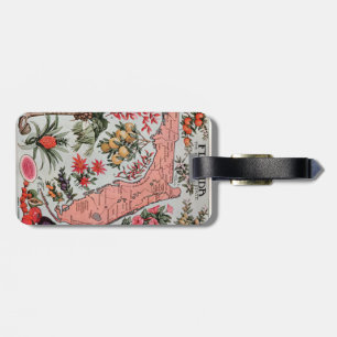 Étiquette À Bagage Carte de Floride vintage