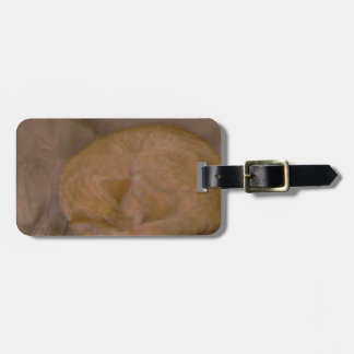 Étiquette À Bagage Cartes rayées oranges de chat, pièce en t,