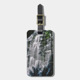 Étiquette À Bagage Cascade dans la forêt, Oregon