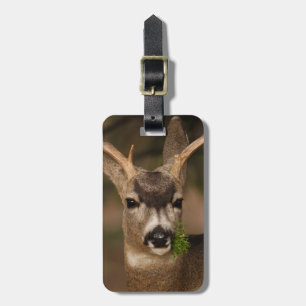 Étiquette À Bagage cerfs communs