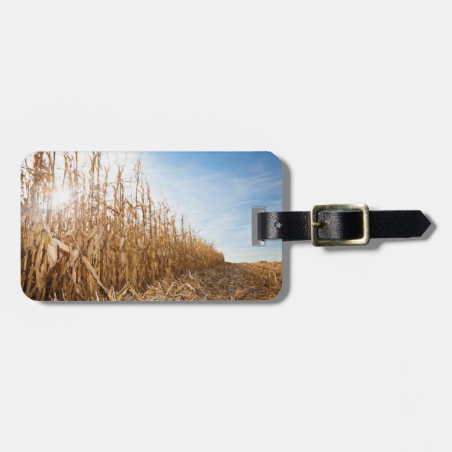 Étiquette À Bagage Champ de maïs en partie moissonné (Devant horizontal)
