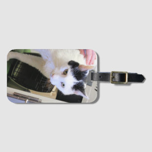 Étiquette À Bagage Chat
