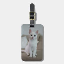 chat blanc | Zazzle_Growshop.