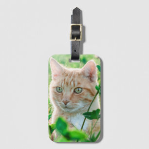 Étiquette À Bagage Chat de gingembre avec yeux verts en herbe