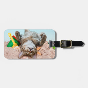 Étiquette À Bagage Chat sur la plage et ciel bleu