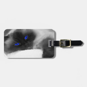 Étiquette À Bagage chaton mignon