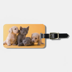 Étiquette À Bagage Chatons et chiots bleus russes de teckel