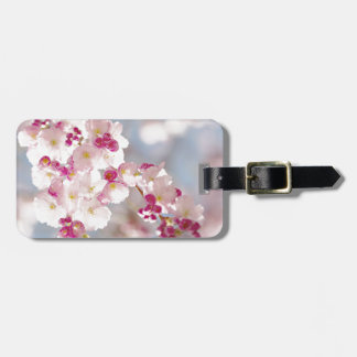 Étiquette À Bagage Cherry blossom / sakura / körsbärsblom