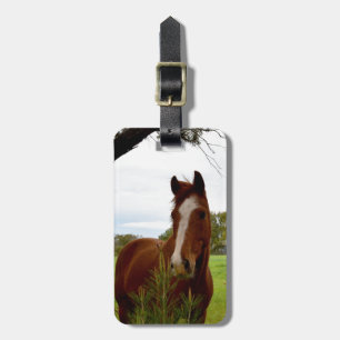 Étiquette À Bagage Chestnut Horse Sniffing A Banksia Tree