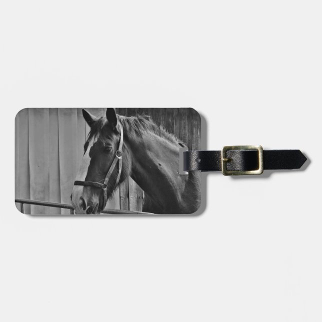 Étiquette À Bagage Cheval blanc noir - Art de la photographie animale (Devant horizontal)