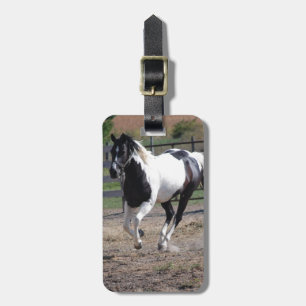 Étiquette À Bagage Cheval Pinto Paint