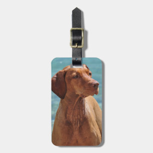 Étiquette À Bagage Chien Magyar Vizsla