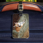 Chien mignon de chiwawa