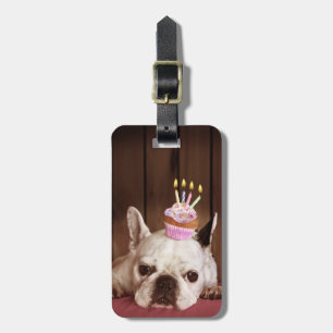 Étiquette À Bagage Chien-taureau français avec Cupcake d'anniversaire