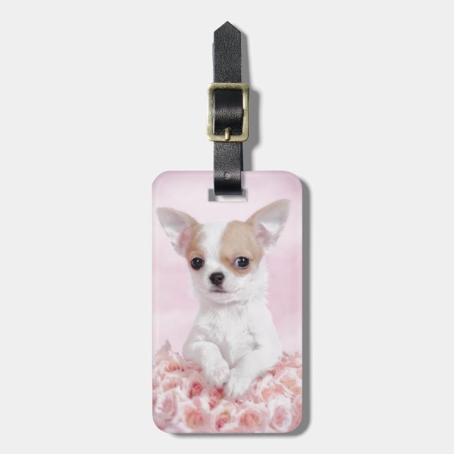 Étiquette À Bagage Chihuahua en rose avec des roses (Devant Vertical)
