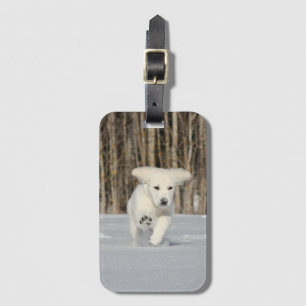 Étiquette À Bagage Chiot blanc Golden Retriever en neige
