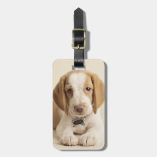 Étiquette À Bagage Chiot de beagle