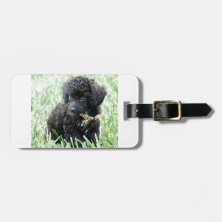 Étiquette À Bagage Chiot de caniche de jouet